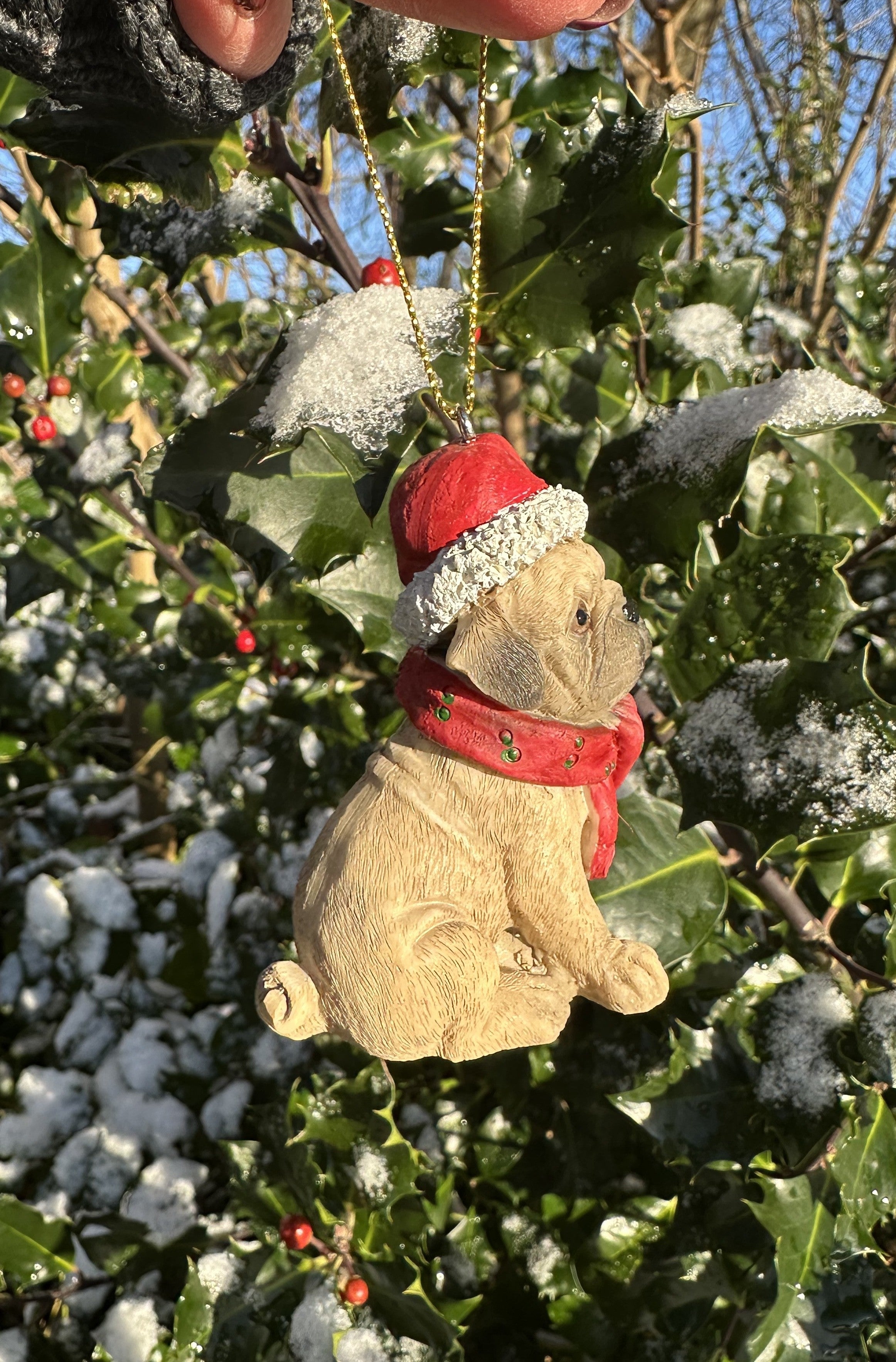 Mops - Julehund 2