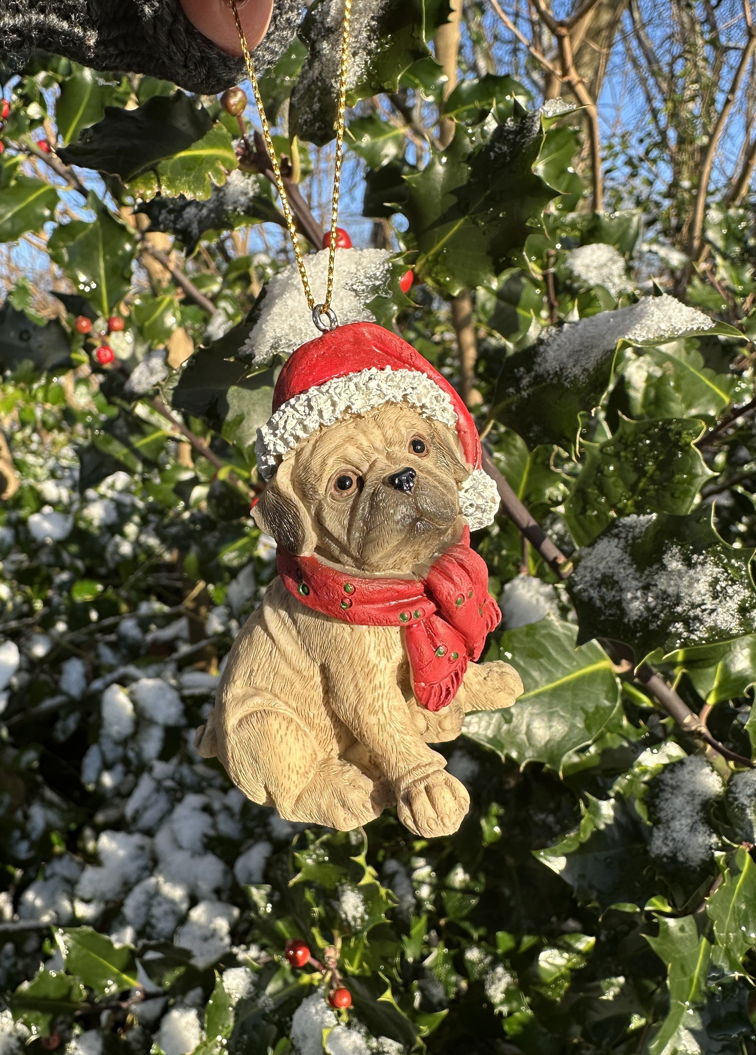 Mops - Julehund 4