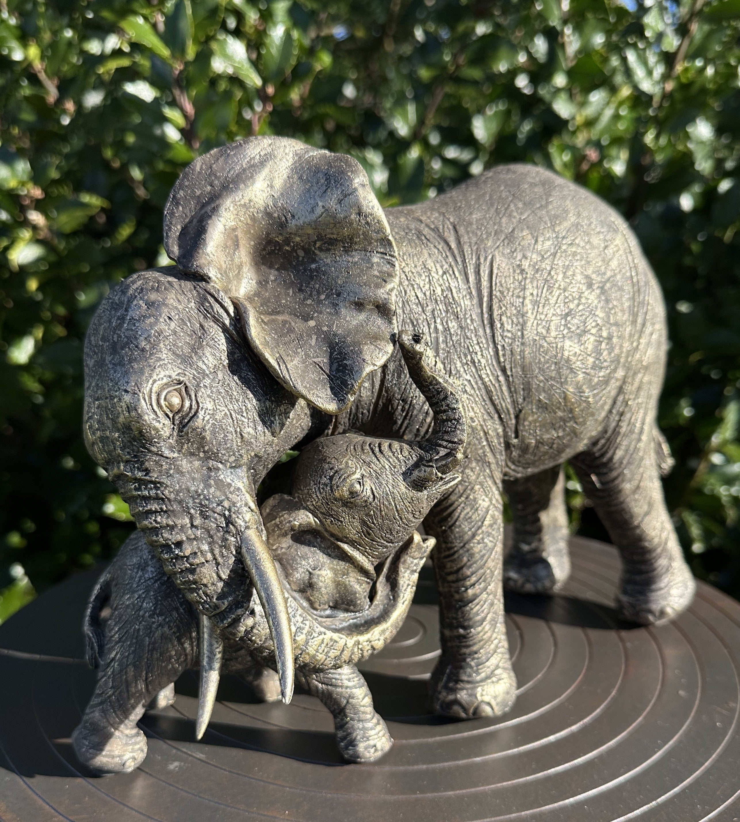 Mor elefant og unge 1