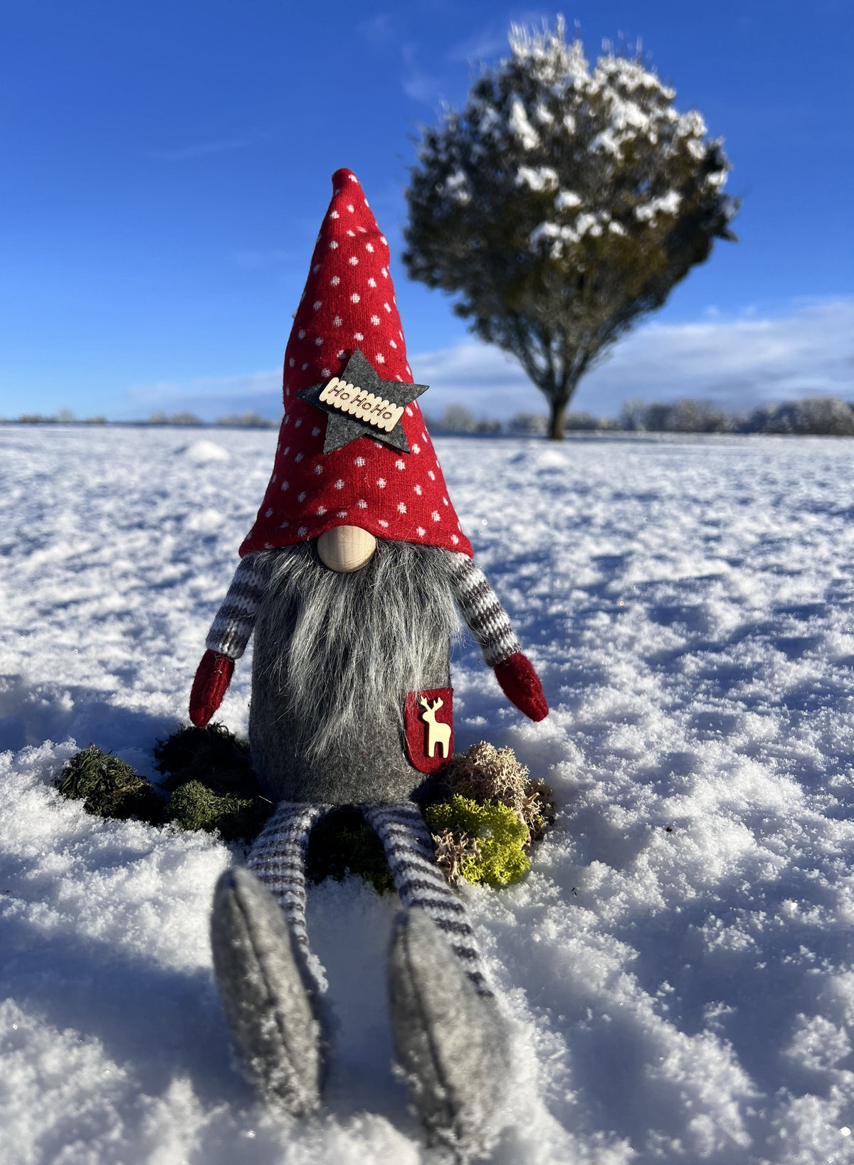 Nisse HoHoHo 1