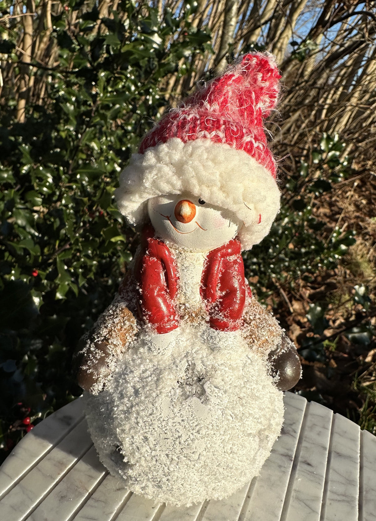 Nisse på snebold 3