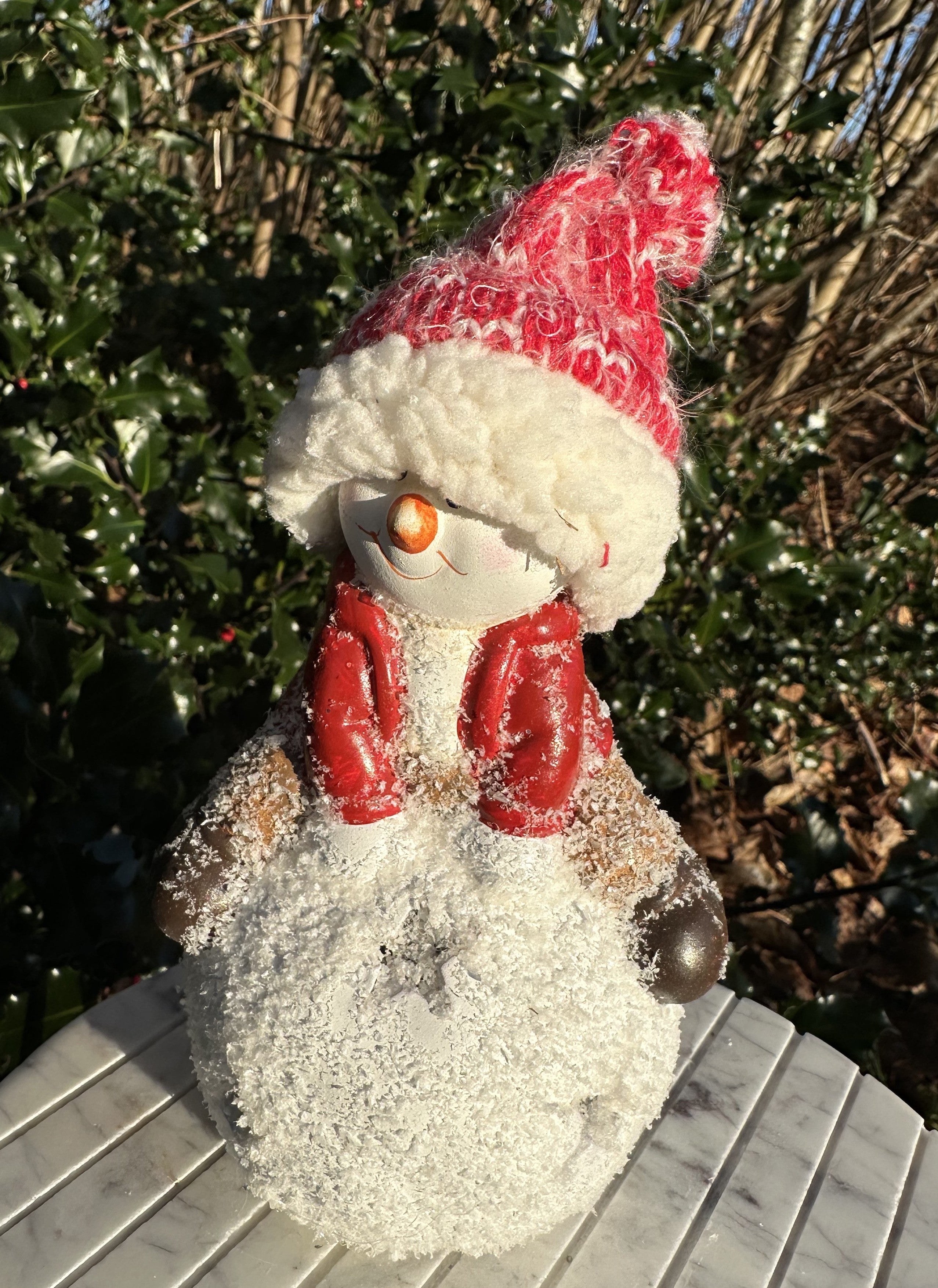 Nisse på snebold 4