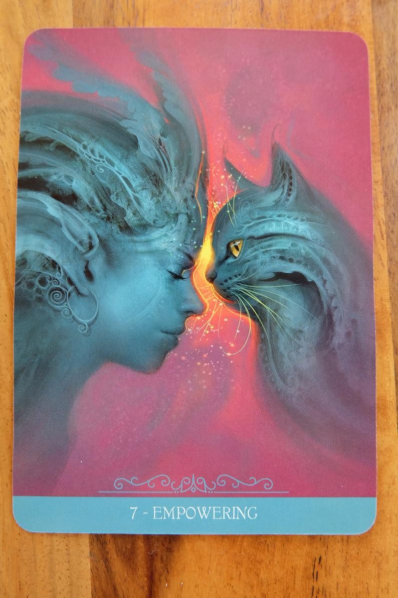 Orakelkort Fantasy Cats Oracle af Paolo Barbieri 2