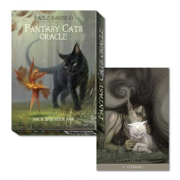 Orakelkort Fantasy Cats Oracle af Paolo Barbieri 5