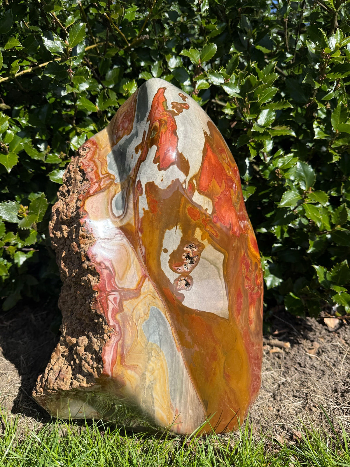 Polychrome jaspis freeform 1