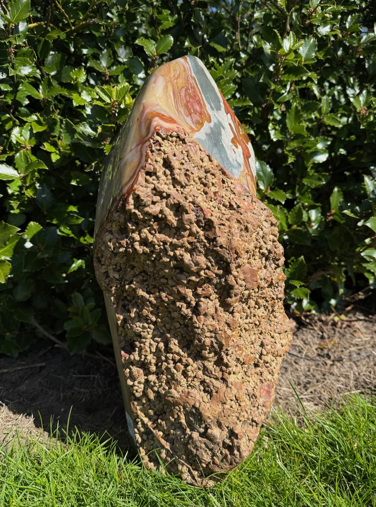Polychrome jaspis freeform 3