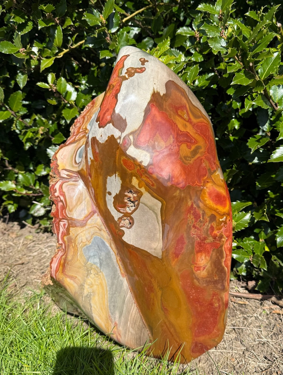 Polychrome jaspis freeform 5