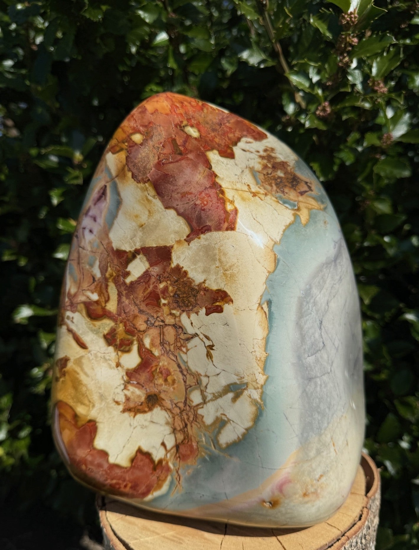 Polychrome jaspis freeform 5