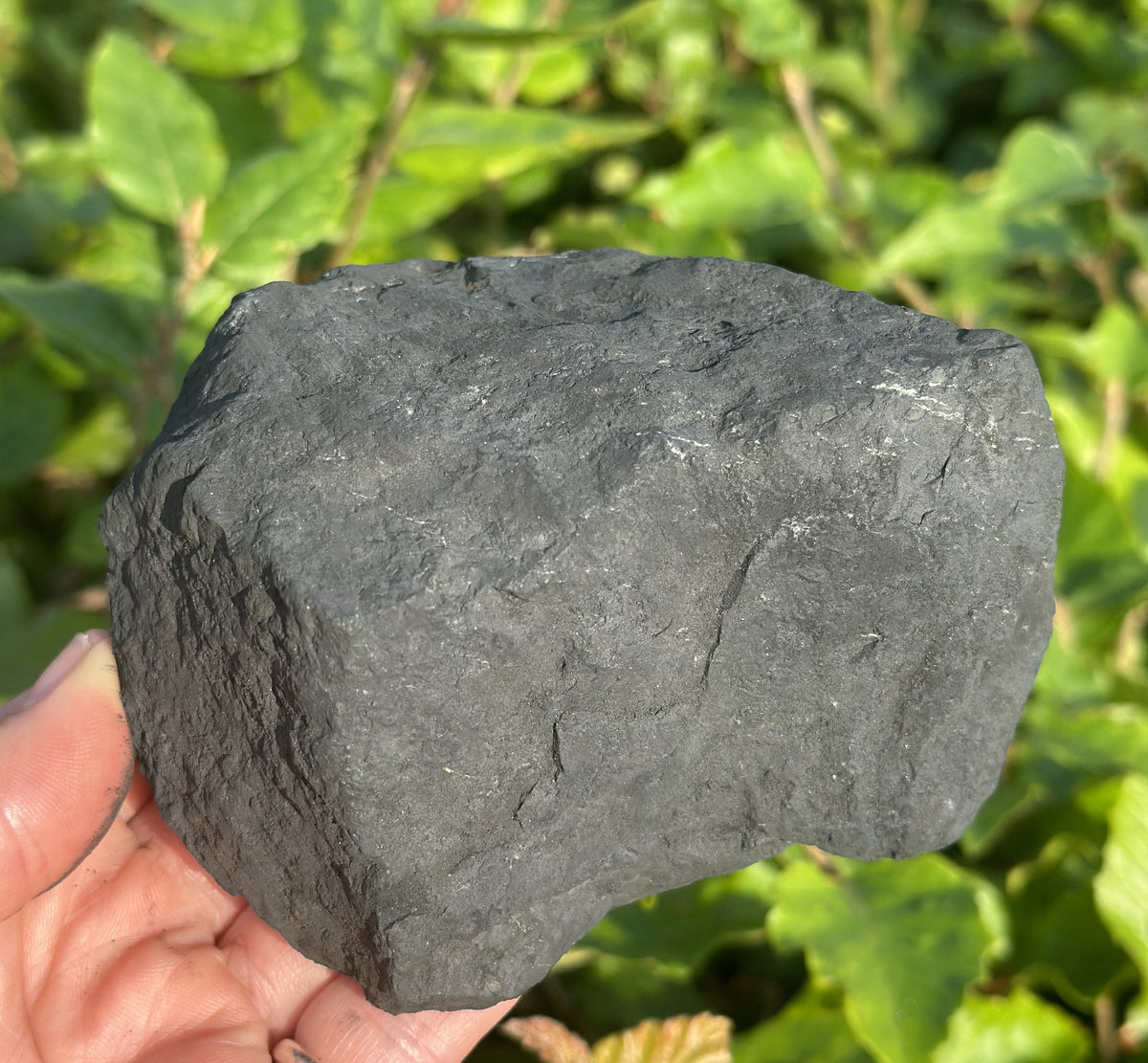 Rå shungit 800 - 900 g