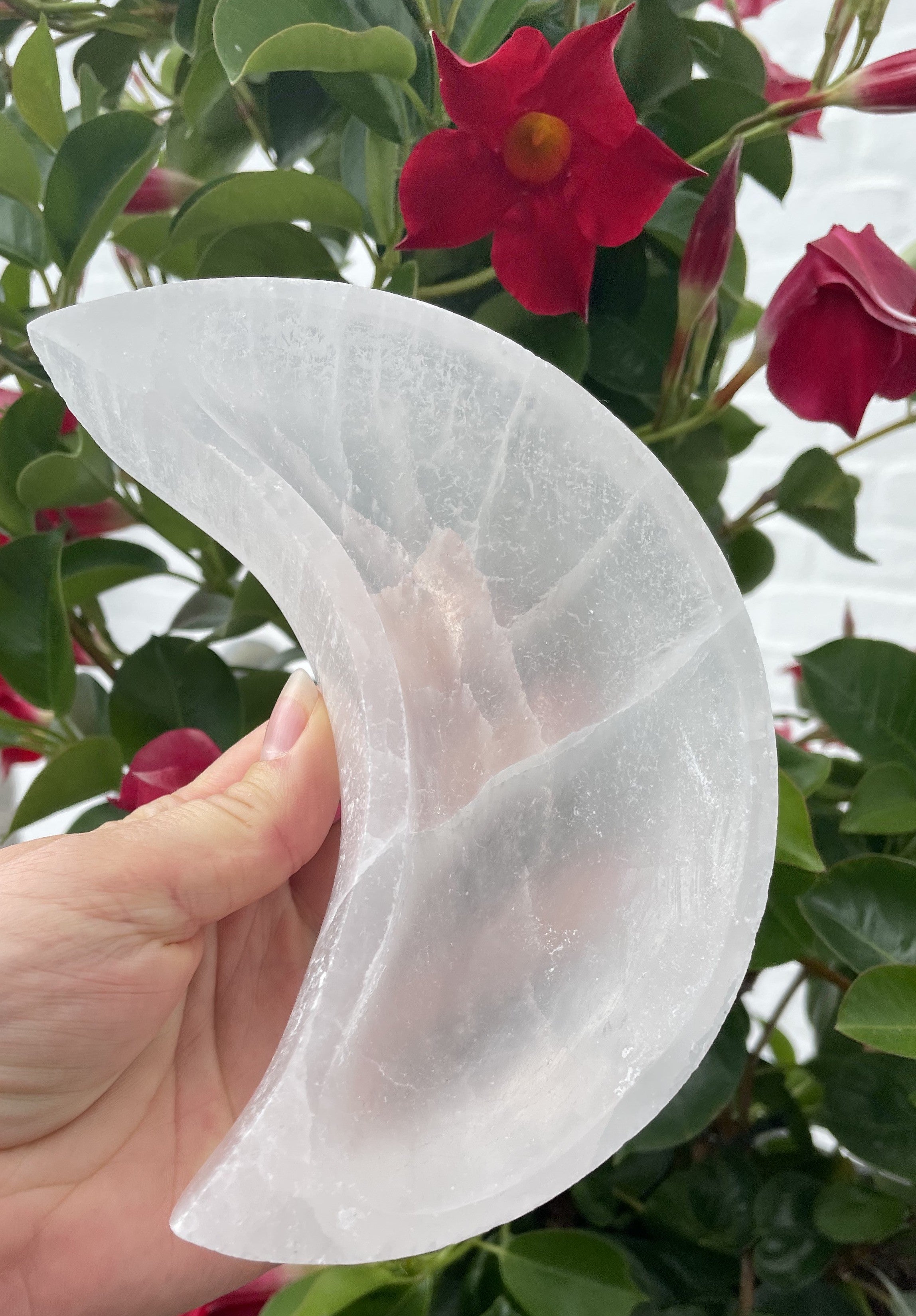 Selenit måne skål 15 cm 3
