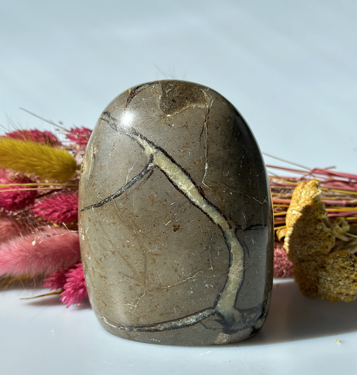Septarie freeform 10 cm 1