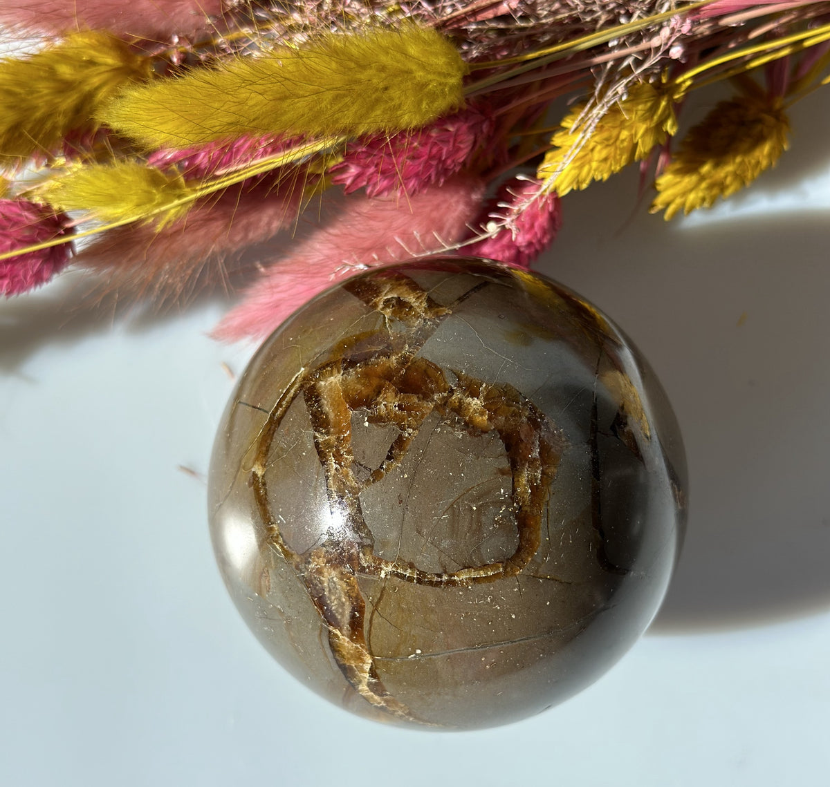 Septarie kugle 7 - 8 cm 3