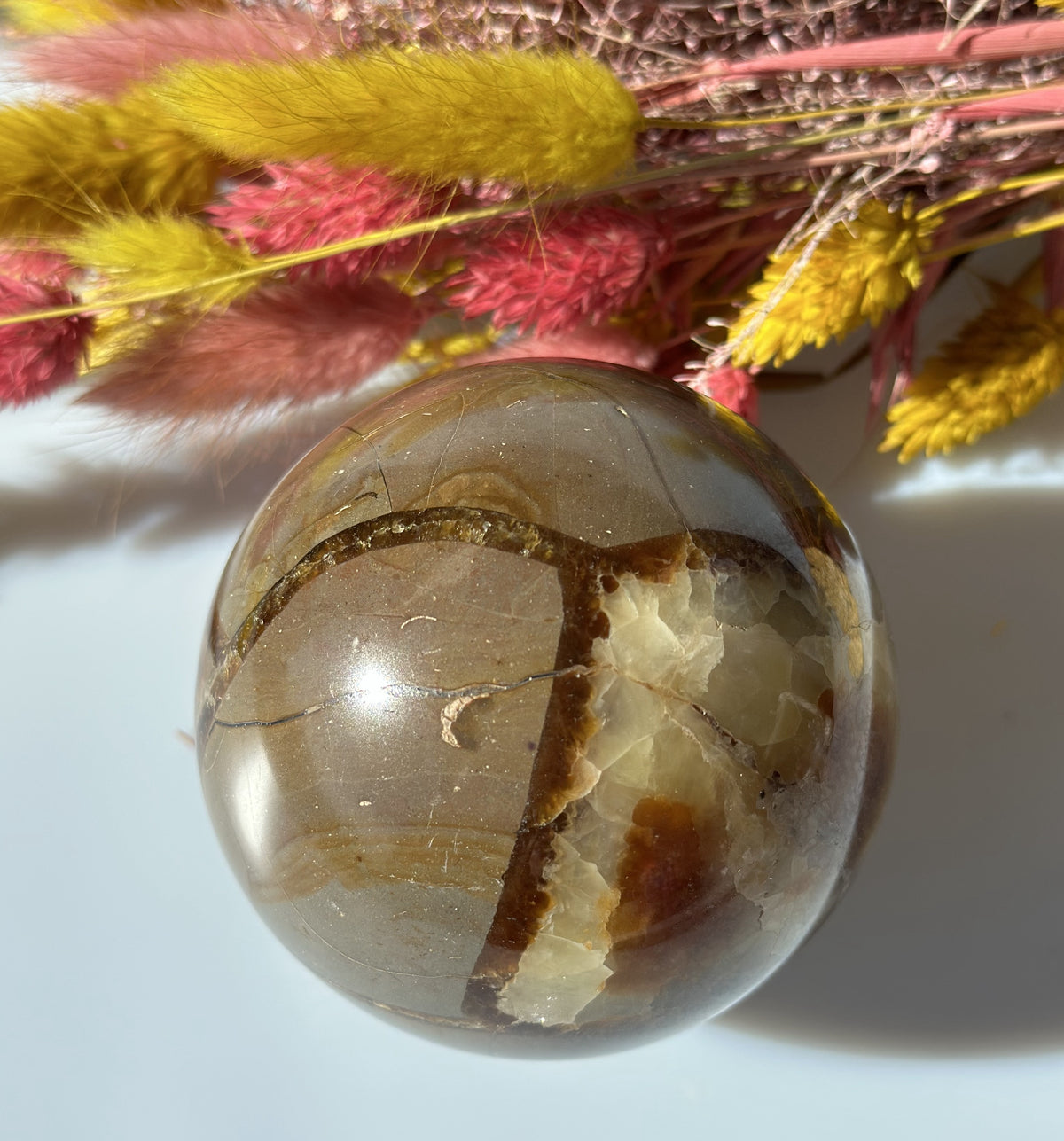 Septarie kugle 7 - 8 cm 4