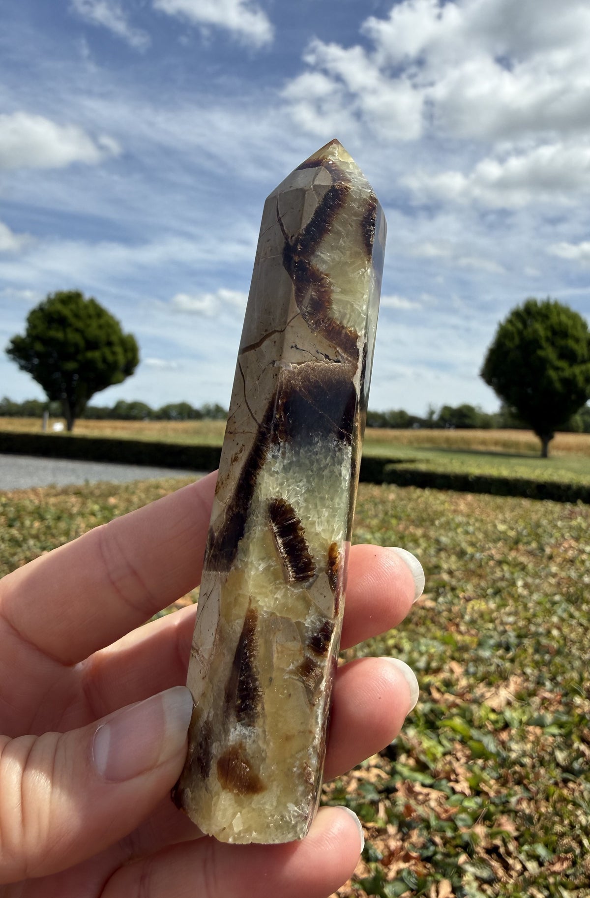 Septarie tårn 9 - 11 cm 3
