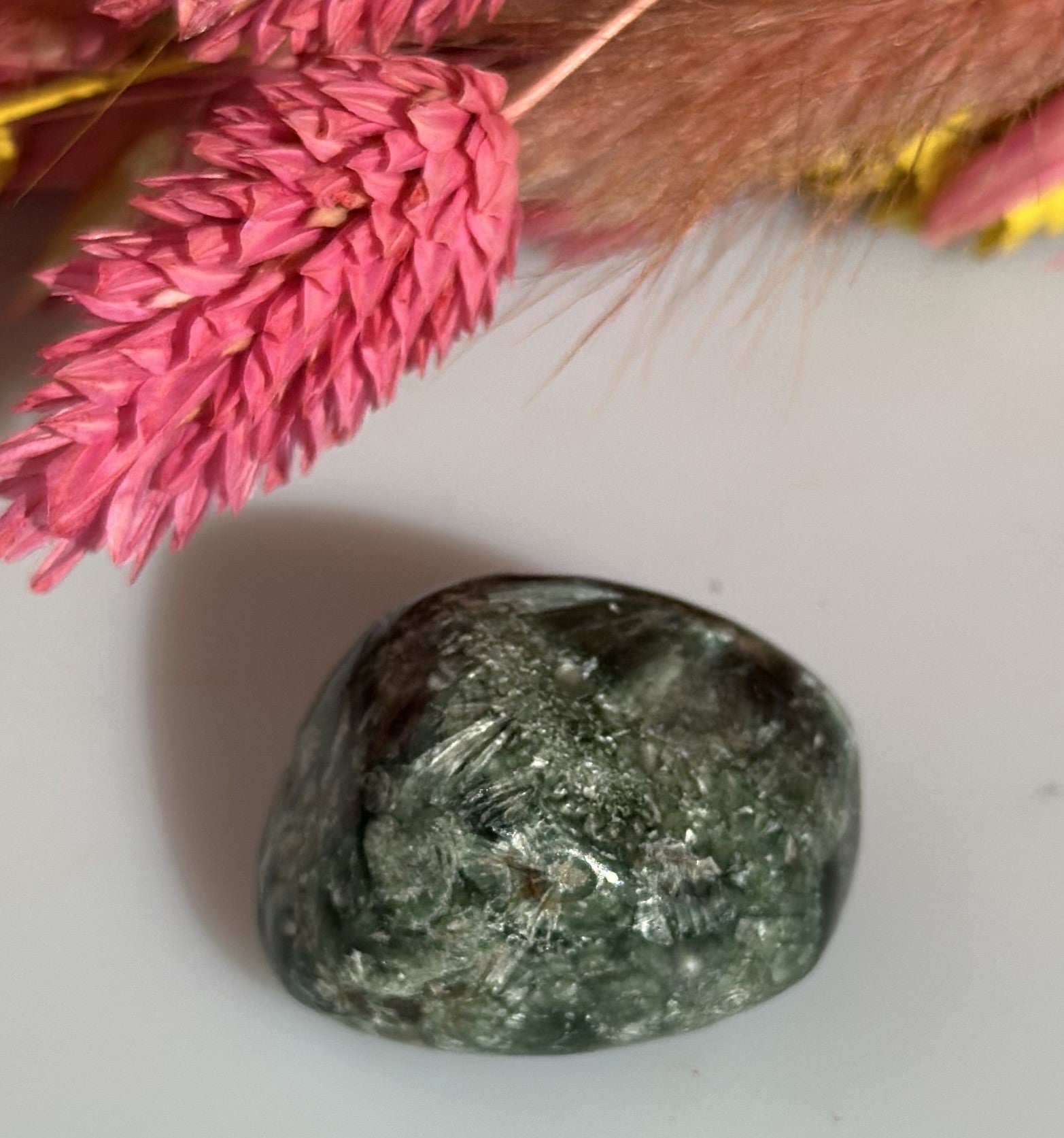 Serafinit lommesten 1