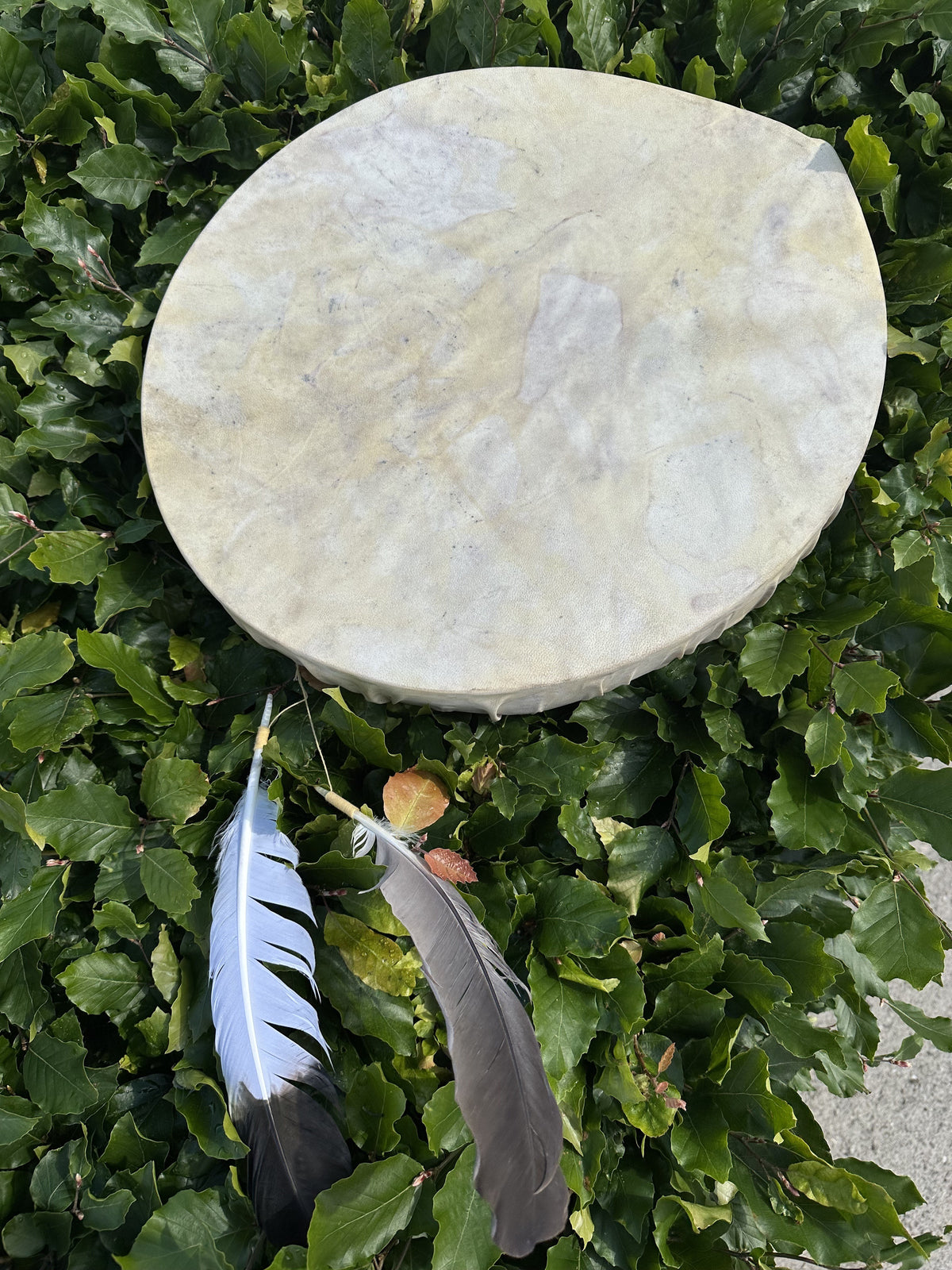Shaman tromme oval 1