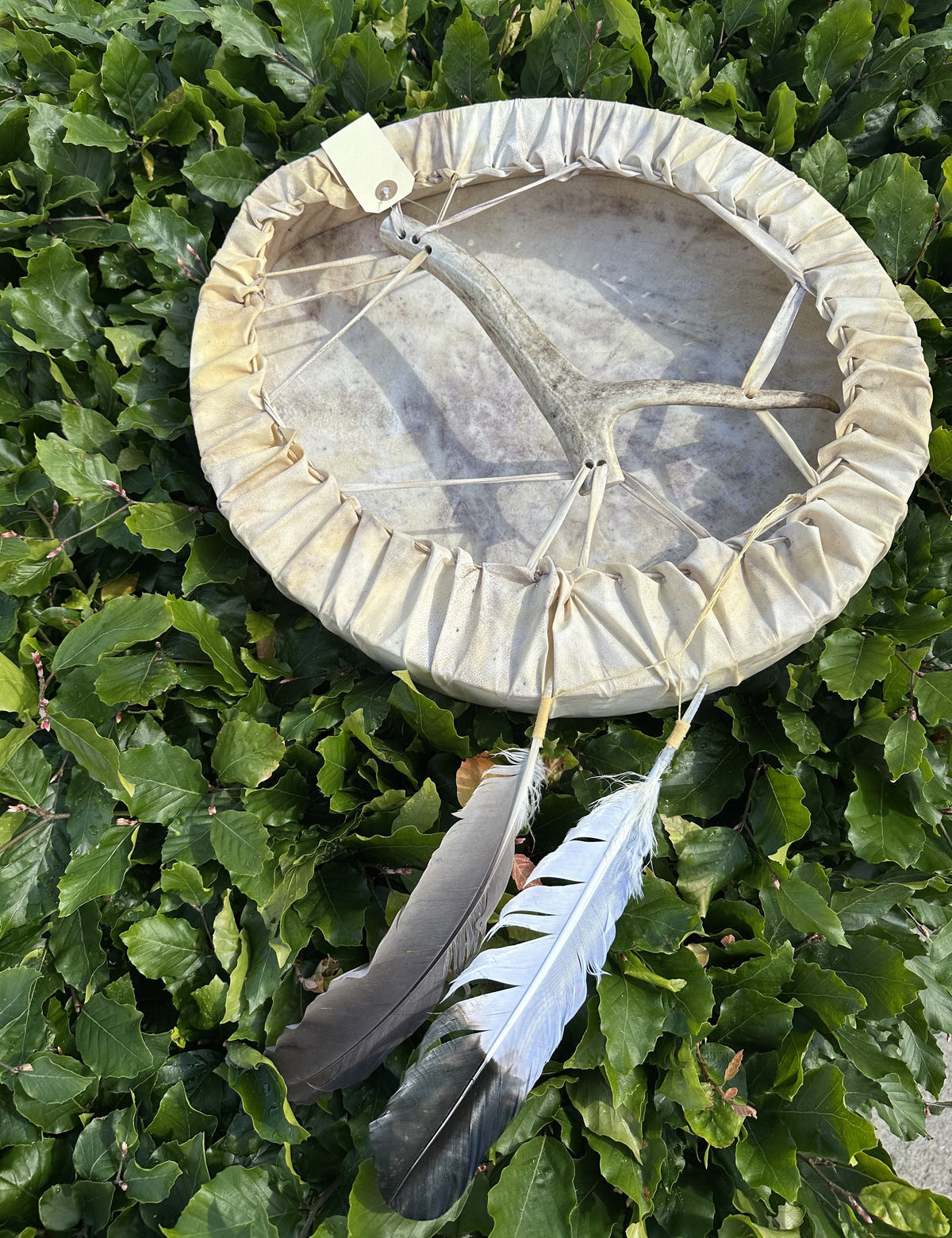 Shaman tromme oval 3