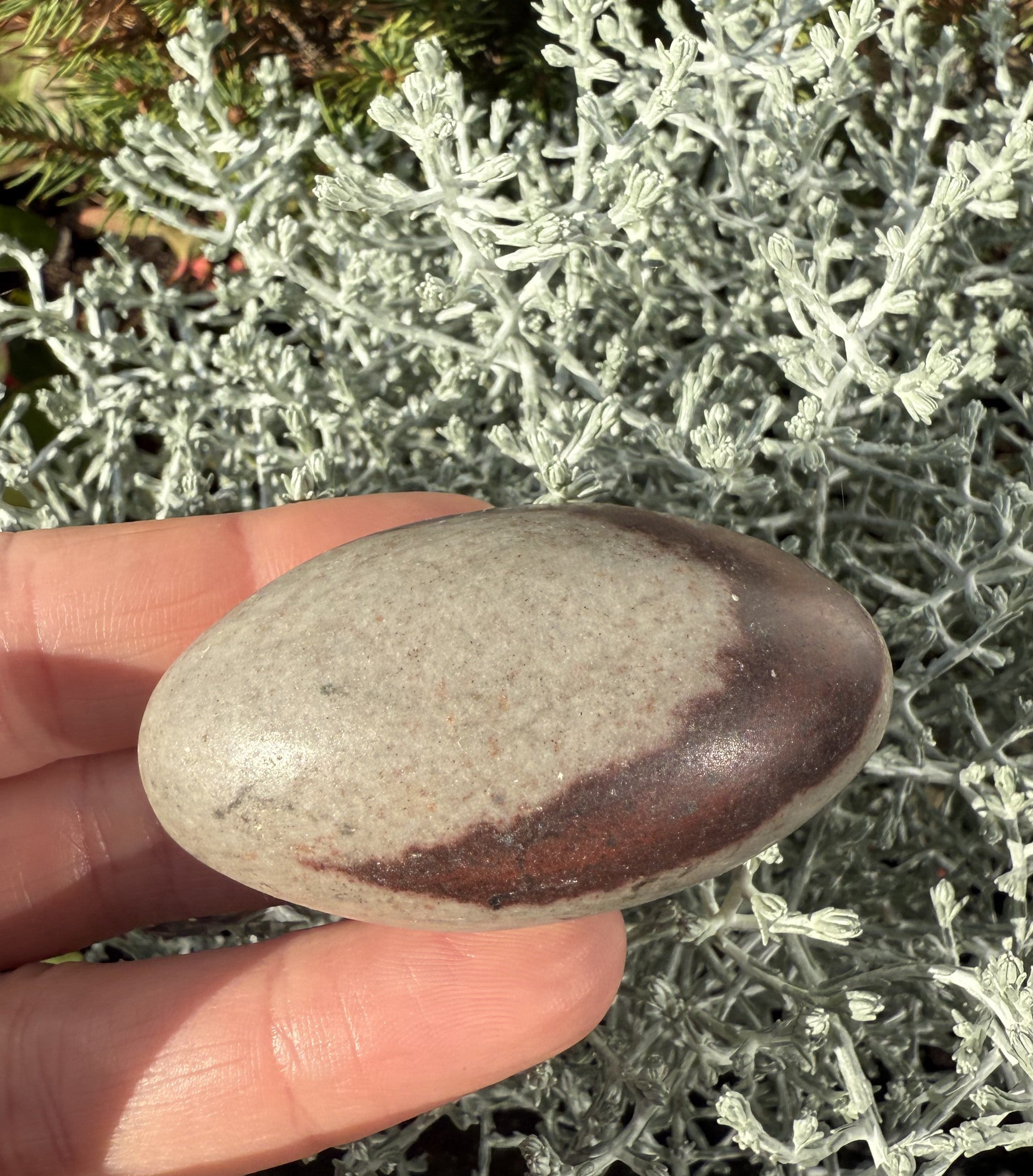 Shiva Lingam sten 5 - 6 cm 2