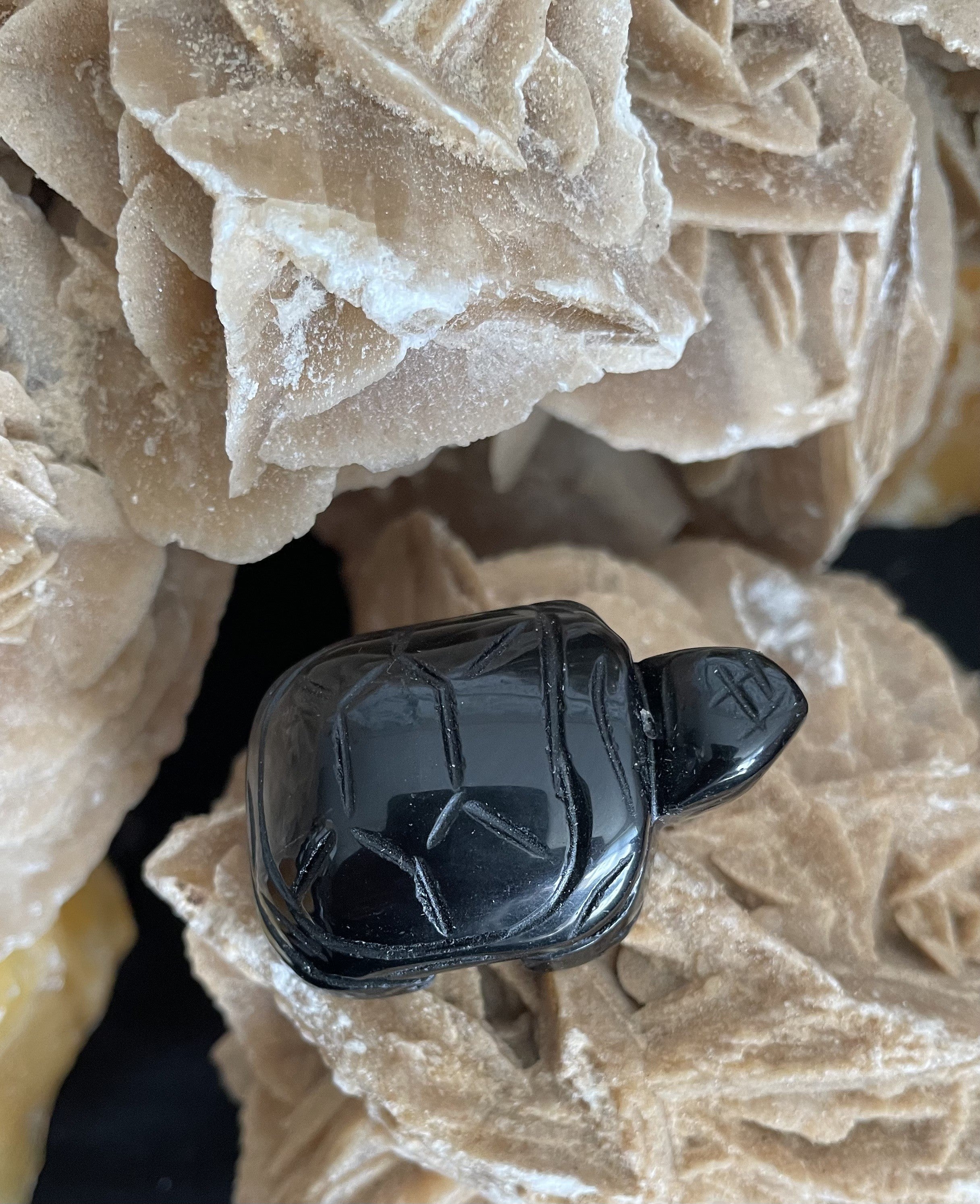 Obsidian Skildpadde 2