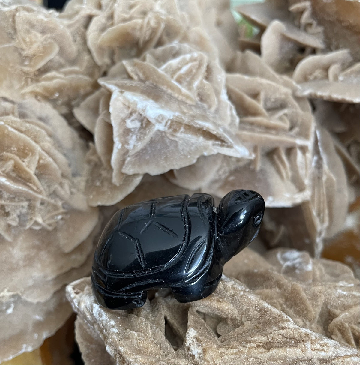 Obsidian Skildpadde 3
