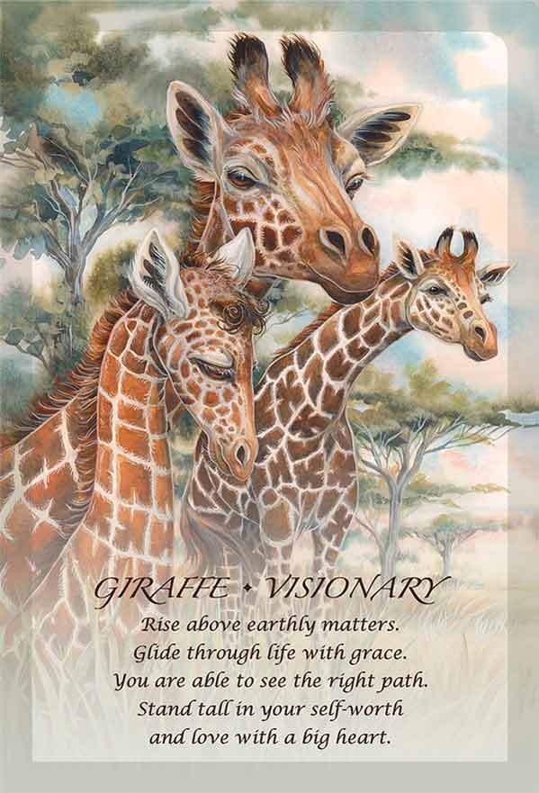 Spirit of the Animals By Jody Bergsma 3