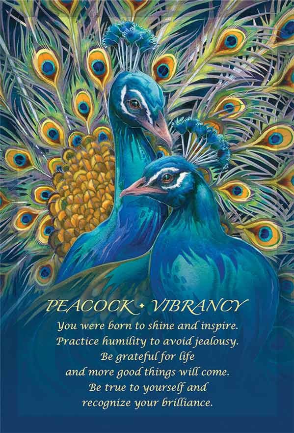 Spirit of the Animals By Jody Bergsma 5