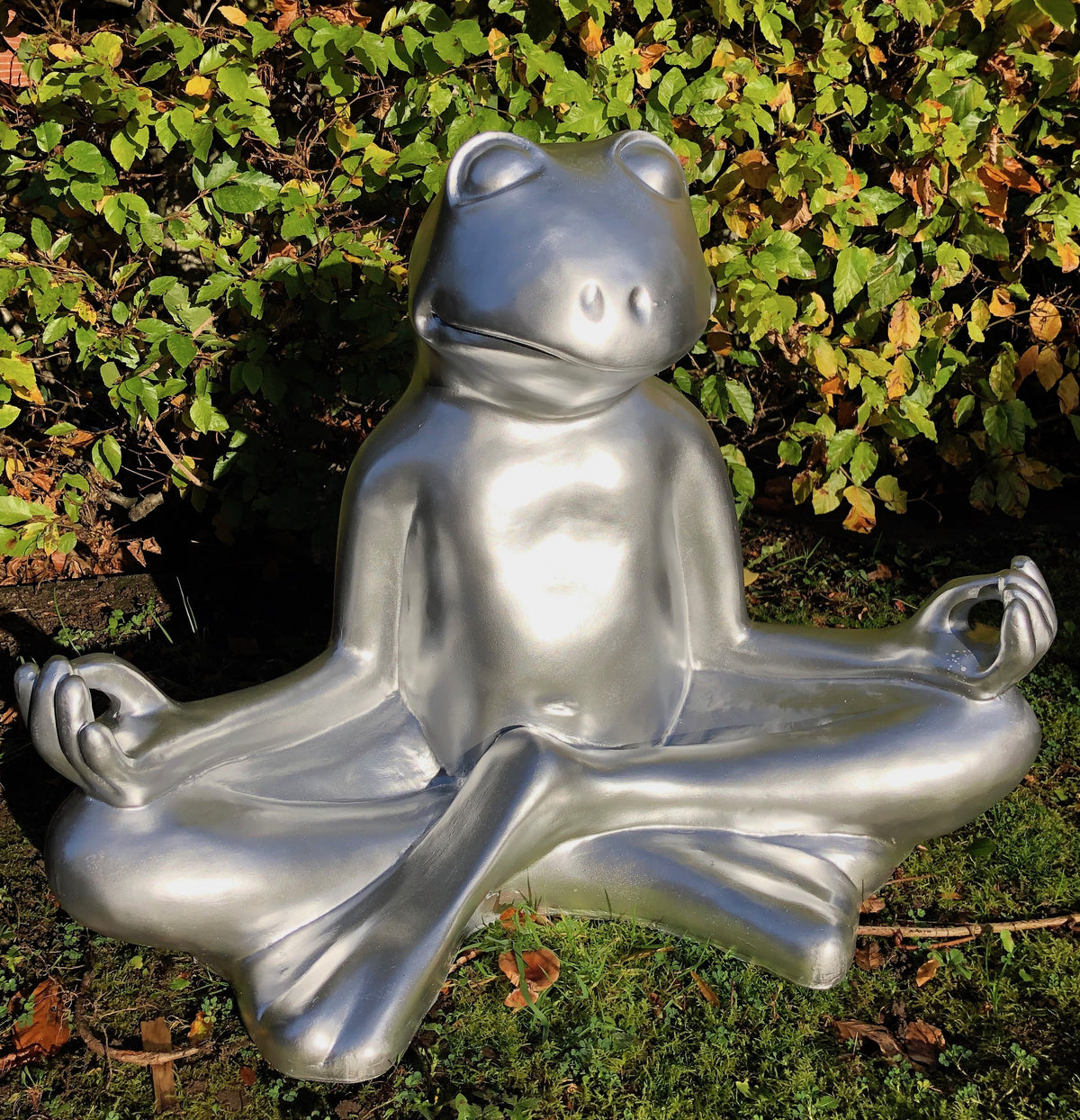 Stor Yoga frø i Sølv 1