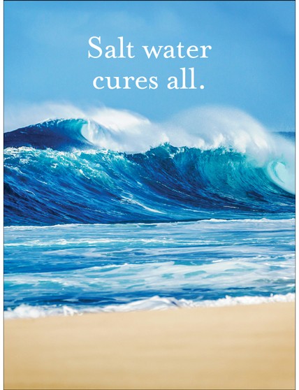 Swell Times 3