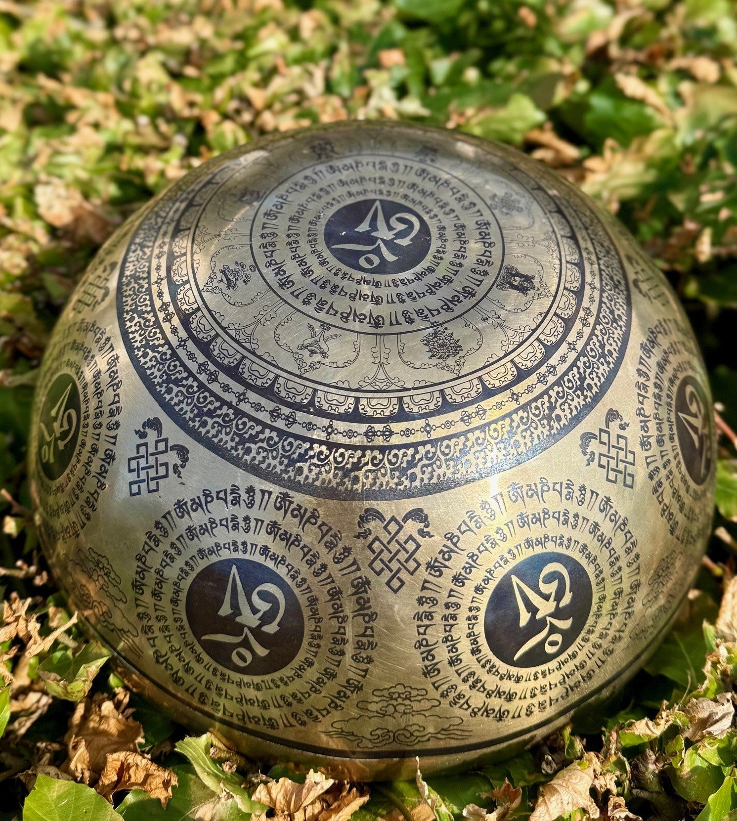 Syngeskål - Lakshmi 3