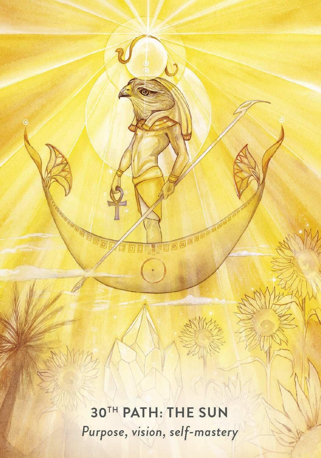 The tree of life oracle 3