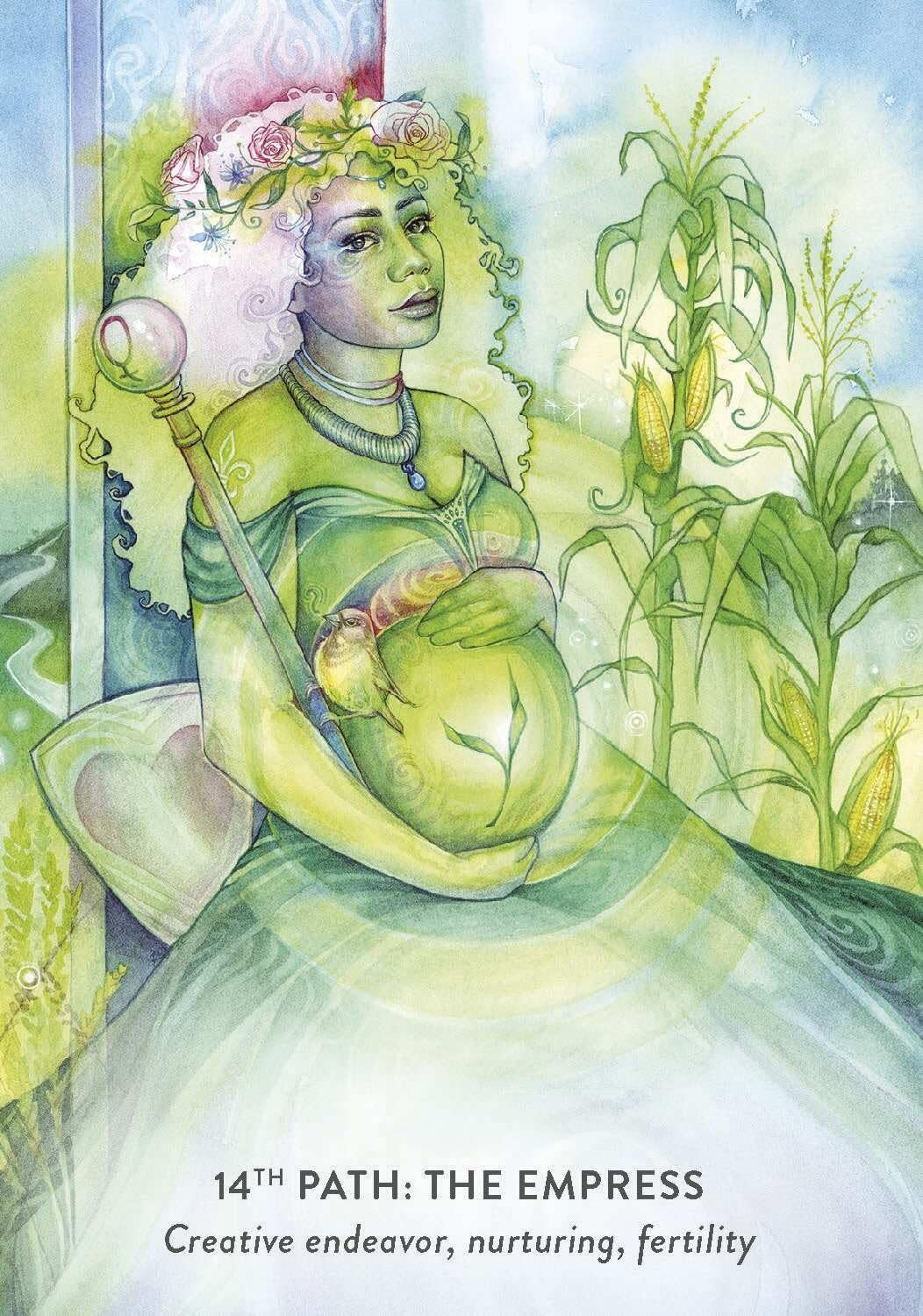 The tree of life oracle 6