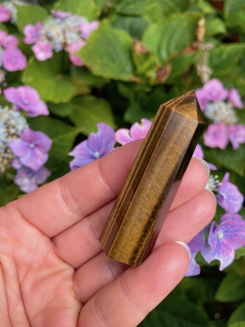 Tigerøje tårn - spids 5 - 6 cm 1