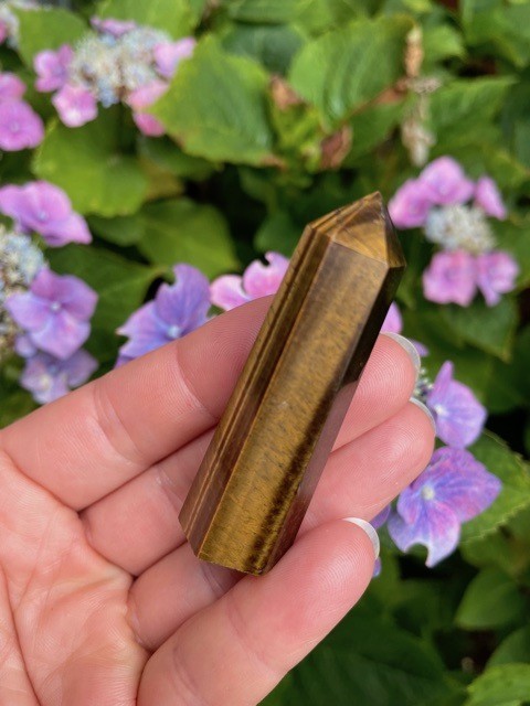 Tigerøje tårn - spids 5 - 6 cm 2