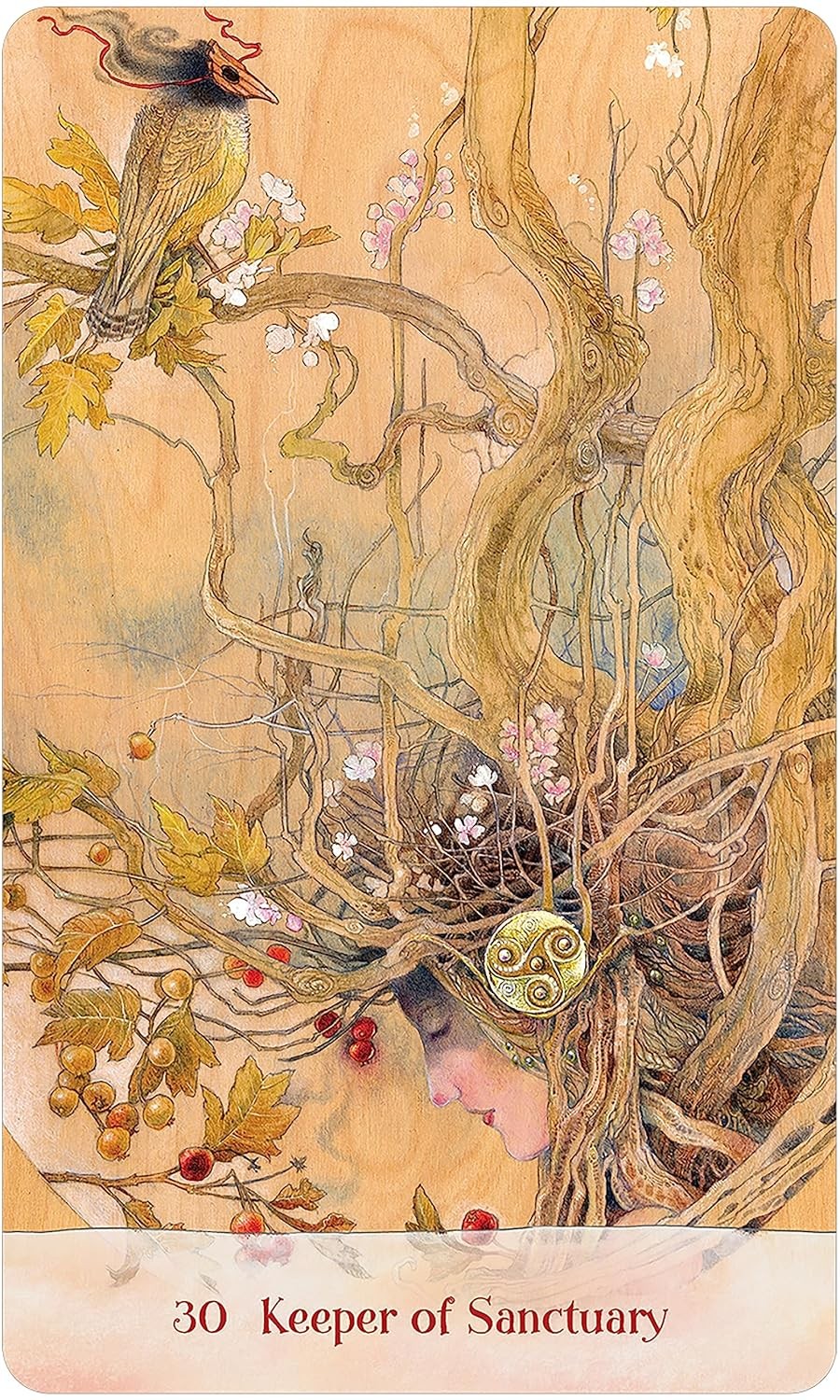 Tree Keepers Oracle - Angi Sullins 3