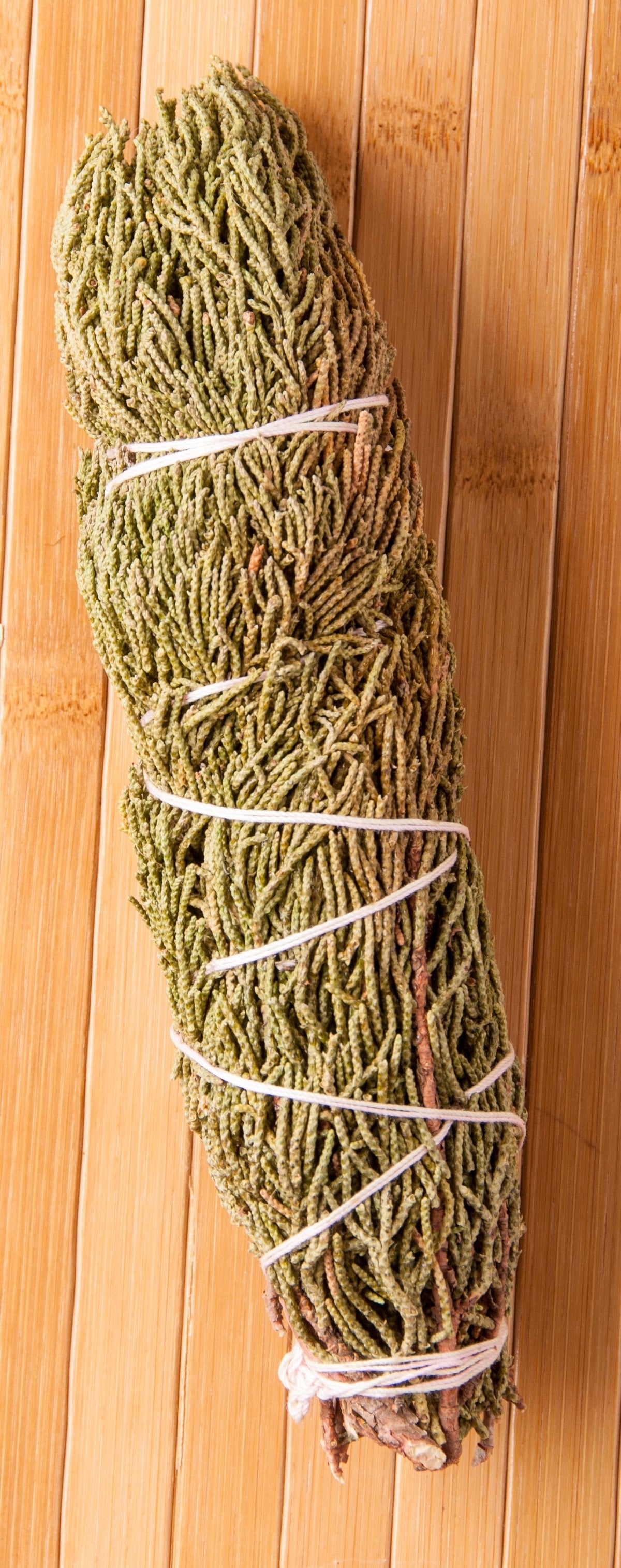 Urtebundt (Juniperus occidentalis) 2