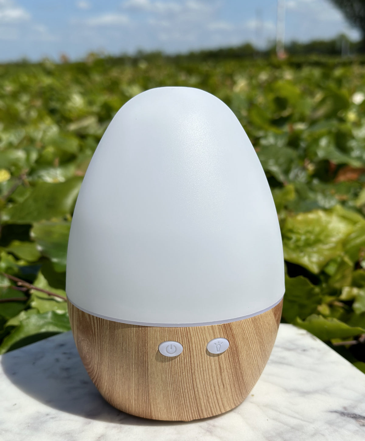 USB stik diffuser 1