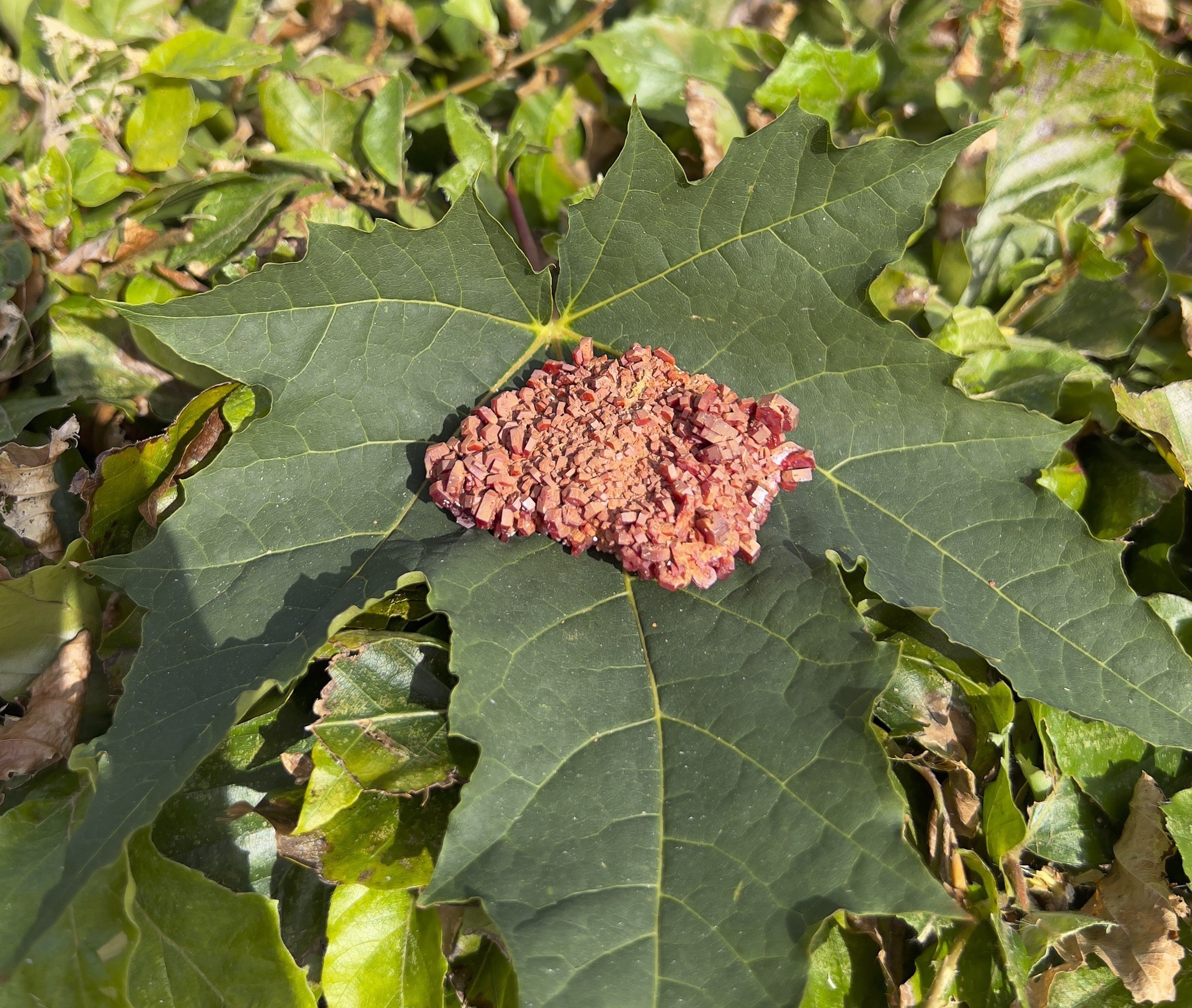 Vanadinit - small 3
