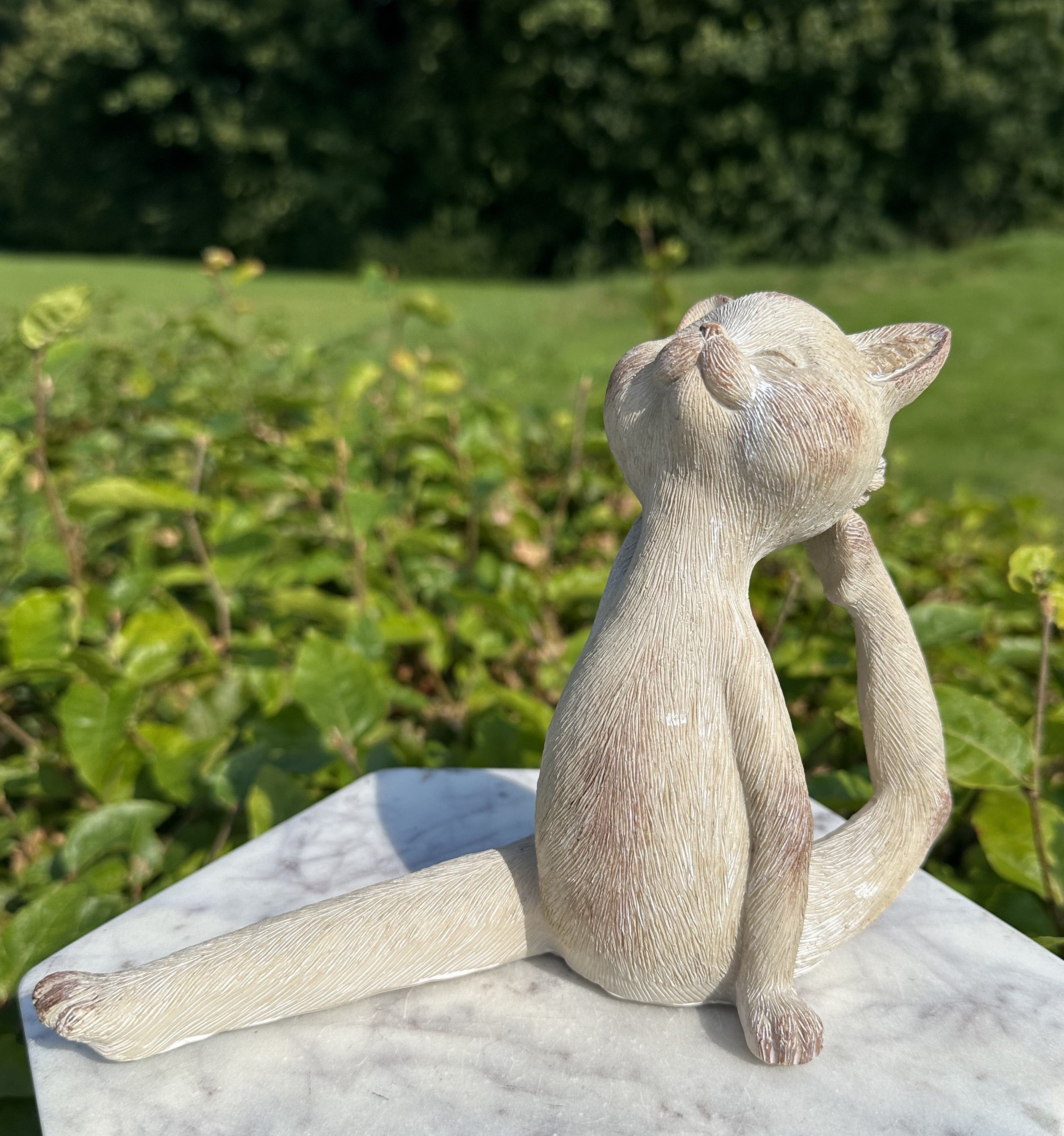 Yoga kat 1