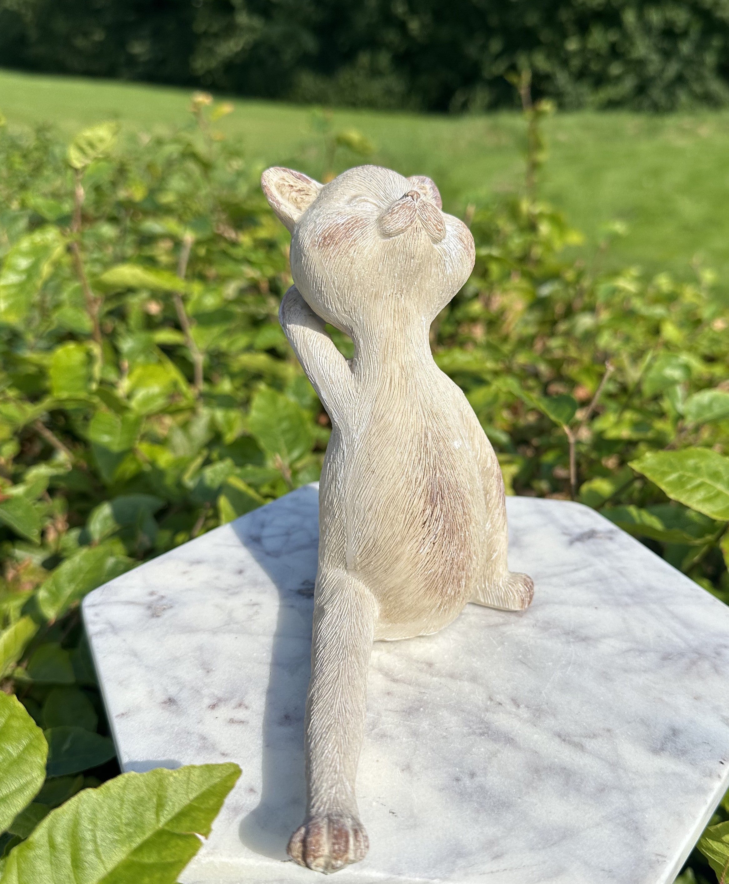 Yoga kat 2