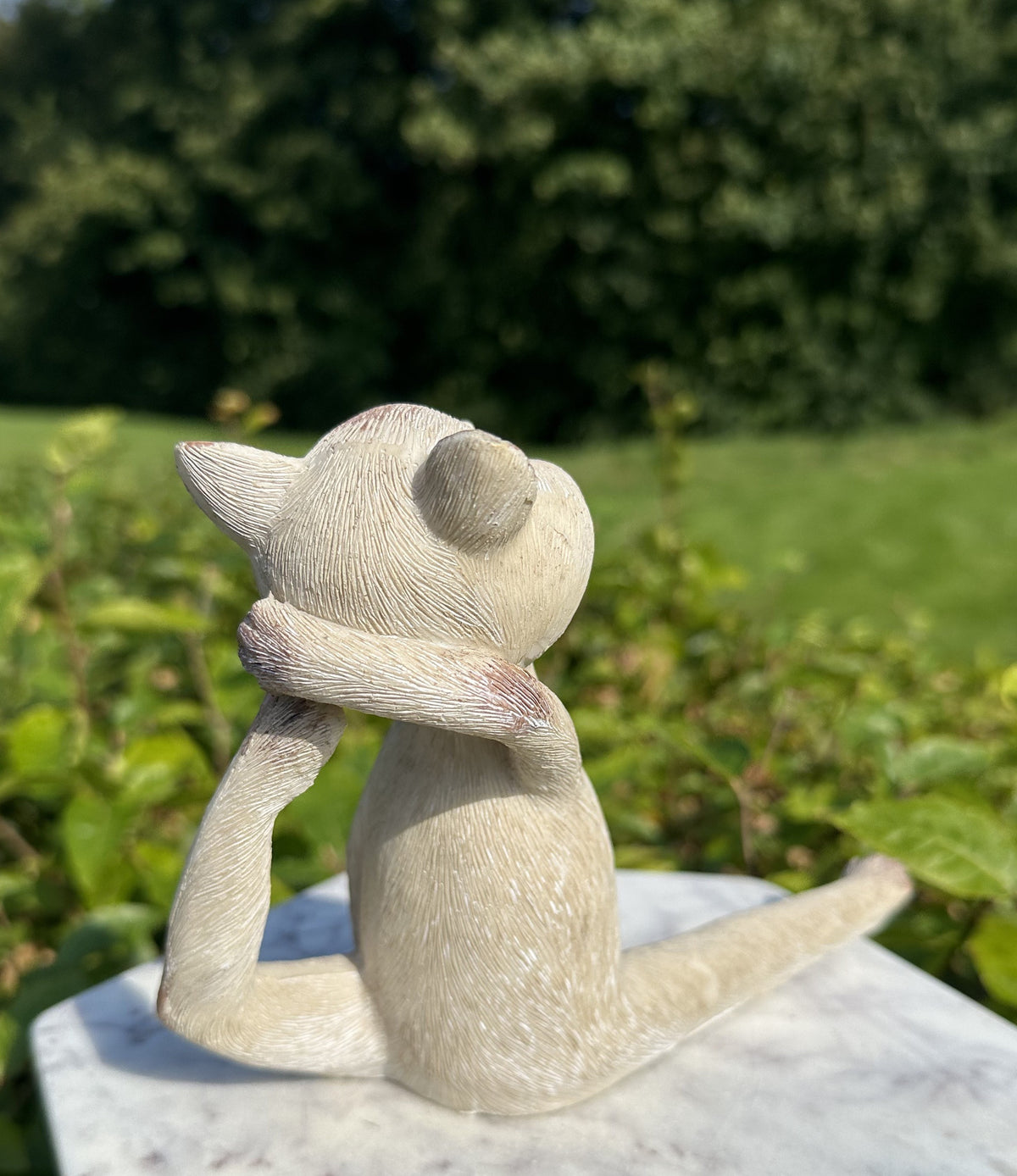 Yoga kat 3