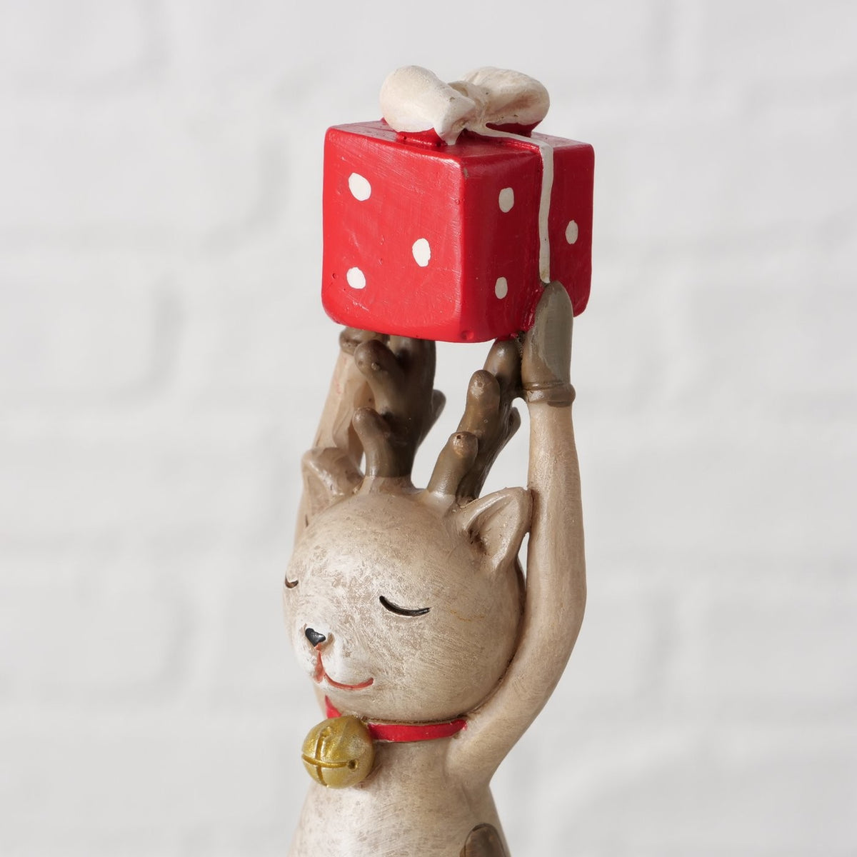 Yoga katte Mietzi 2